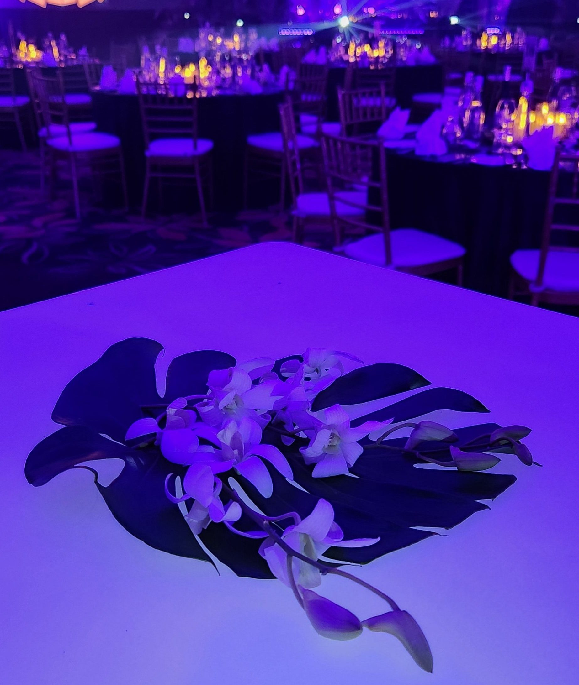 Behind the Scenes of a Successful Incentive Program in Kota Kinabalu: How We Pulled Off an Incredible Event for 150 Australian Achievers in Just 18 Days